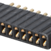 BL 1X10G 1