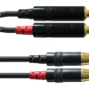 CFU-PC 1