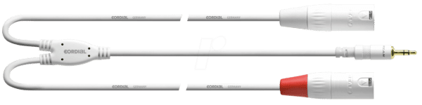 CFY 1
