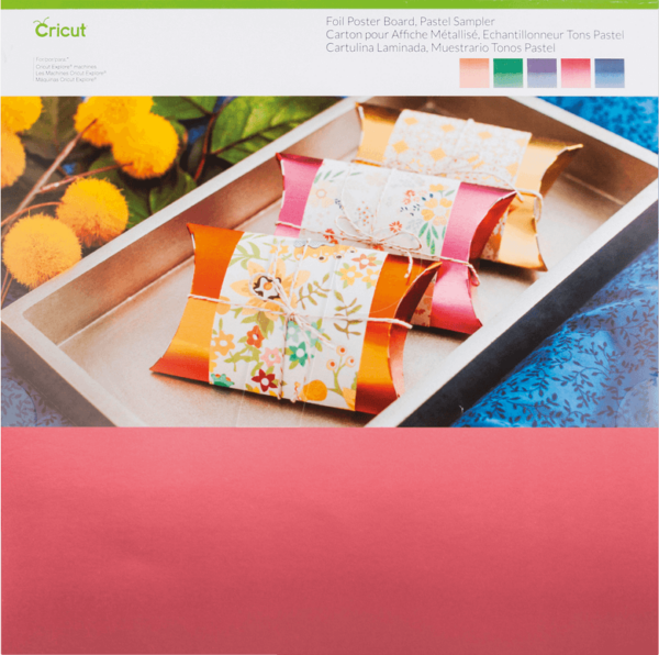 CRICUT 2004040 - Karton