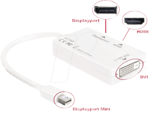 DELOCK 61768 - DisplayPort Adapter