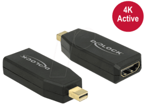DELOCK 65581 - DisplayPort Adapter