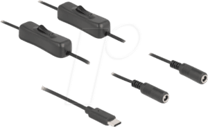 DELOCK 86800 - Stromkabel USB-C > 2x DC 5