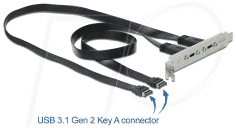 DELOCK 89935 - Slotblech 2 x USB Type-C™ Port