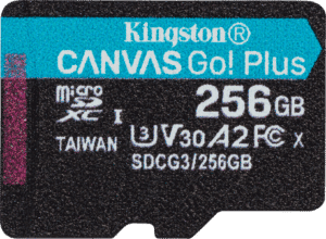 SDCG3/256GBSP - MicroSDXC-Speicherkarte