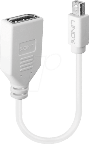 LINDY 41021 - DisplayPort Adapter