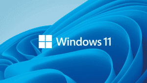 WIN11 HOME NL - Software