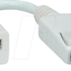 ROLINE 12033132 - DisplayPort Adapter