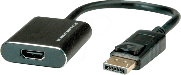 ROLINE 12033164 - DisplayPort Adapter