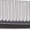 BERN 5 006 7 - Greif-Pinzette
