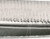 BERN 5 121 - Pinzette