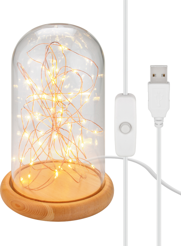 GB 60340 - Glasglocke mit 50 LED-Micro-Lichterkette und USB Kabel mit Schal