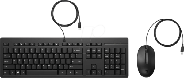 HP 286J4AA - Tastatur-/Maus-Kombination