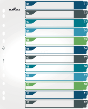 DURABLE 679627 - Kunststoffregister A4 (1-12)