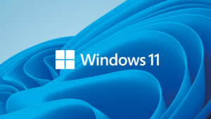 WIN11 PRO EN - Software